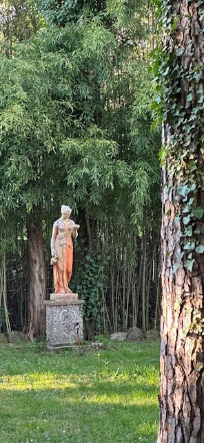 A Moment with Venus. A Story for Our Guests