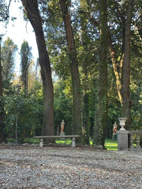 Villa Amore Photo Gallery