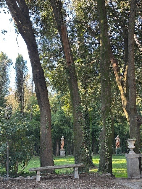 Weddings & Events Gallery