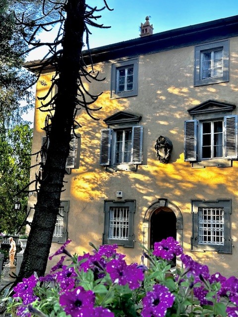 Weddings & Events Gallery